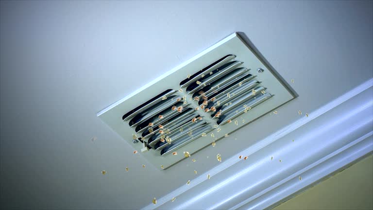 Best Air Duct Cleaning Company Near Me  in Island Lake, IL