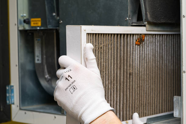 Best HVAC Air Duct Cleaning  in Island Lake, IL