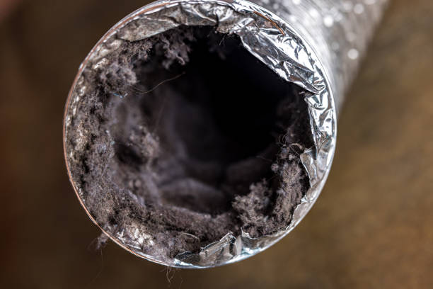 Best Home Air Vent Cleaning  in Island Lake, IL