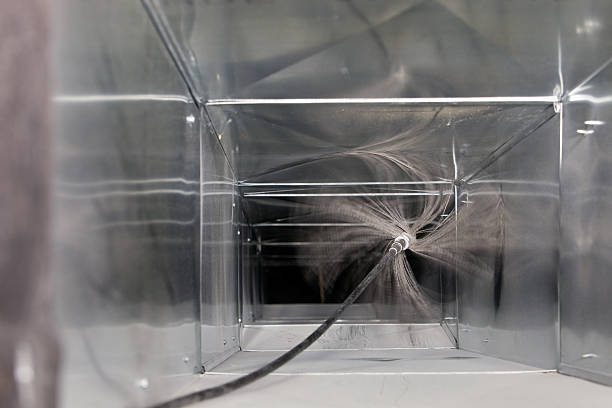 Best Professional Duct Cleaning Services  in Island Lake, IL