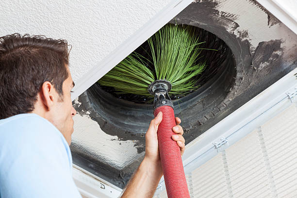 Best Affordable HVAC Duct Cleaning  in Island Lake, IL