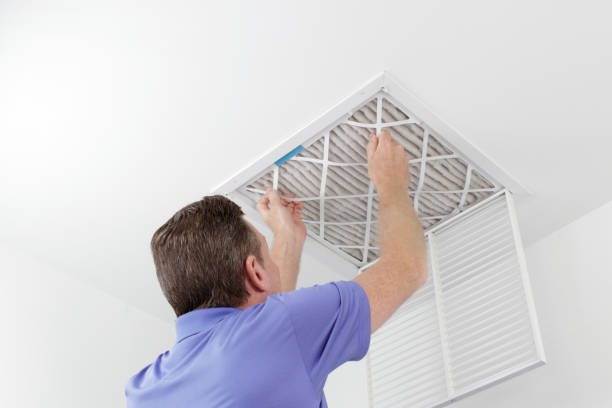 Best Duct Cleaning for Homes  in Island Lake, IL